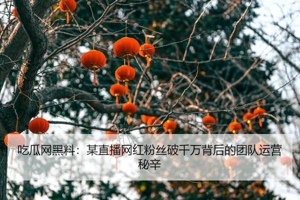吃瓜网黑料：某直播网红粉丝破千万背后的团队运营秘辛