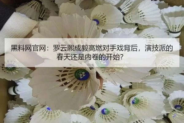hei-liao-wang-guan-wang-luo-yun-xi-cheng-yi-gao-ran-dui-shou-xi-bei-hou-yan-ji-pai-de-chun-tian-hai-shi-nei-juan-de-kai-1-428.jpg
